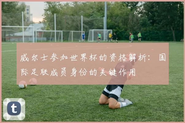 威尔士参加世界杯的资格解析：国际足联成员身份的关键作用