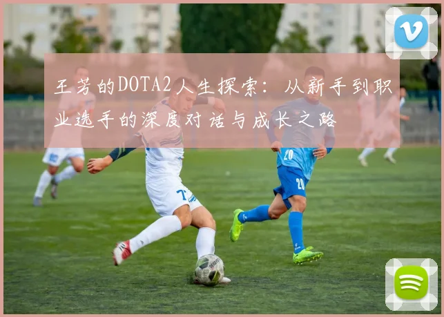 王芳的DOTA2人生探索：从新手到职业选手的深度对话与成长之路