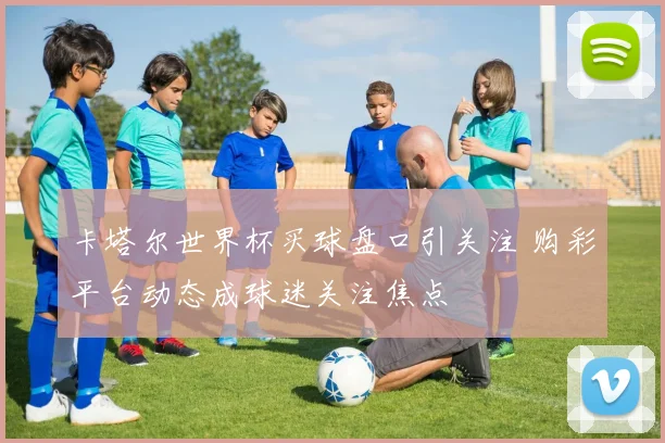 卡塔尔世界杯买球盘口引关注 购彩平台动态成球迷关注焦点