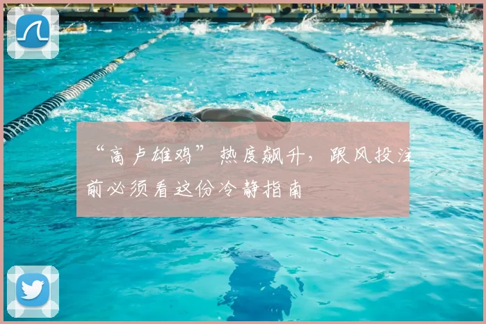 “高卢雄鸡”热度飙升，跟风投注前必须看这份冷静指南