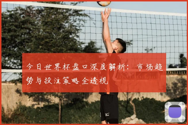 今日世界杯盘口深度解析：市场趋势与投注策略全透视