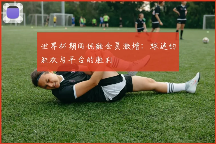 世界杯期间优酷会员激增:球迷的狂欢与平台的胜利