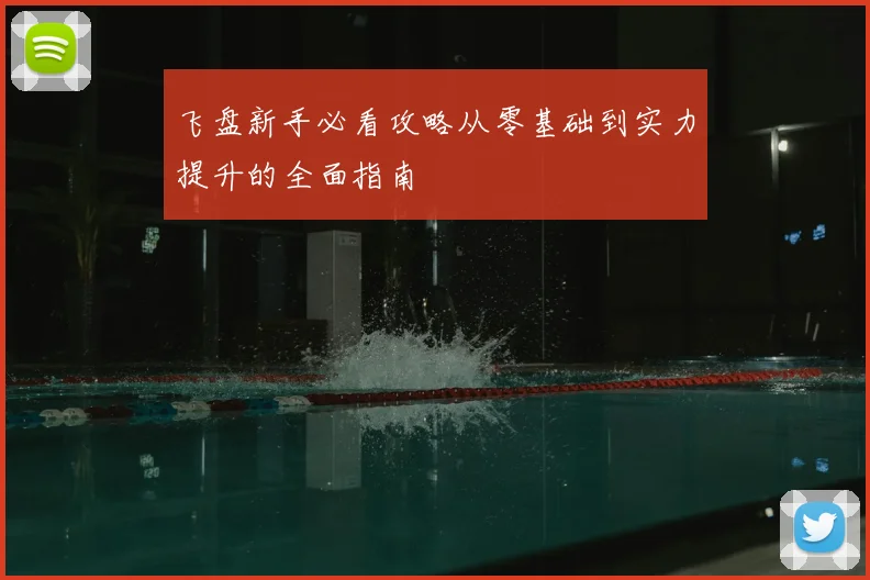 飞盘新手必看攻略从零基础到实力提升的全面指南